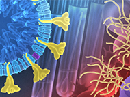 SARS-CoV-2 and COVID-19 Research (2022)